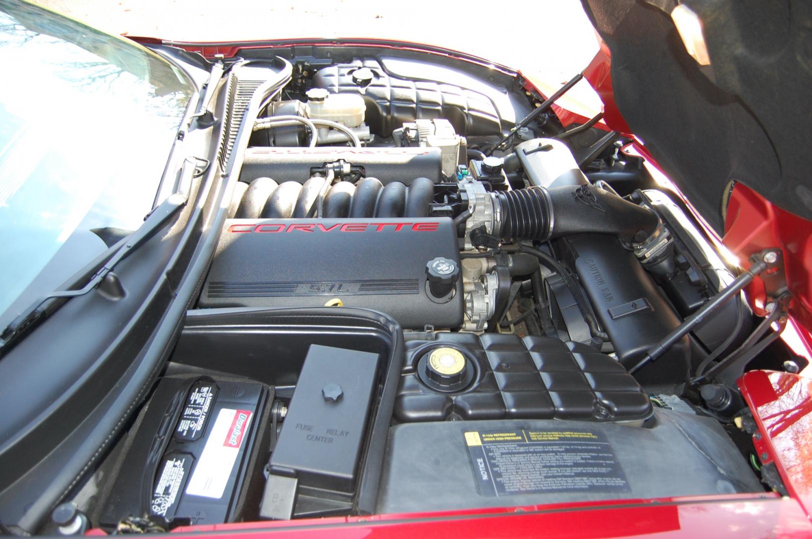 1998 Burgundy /Beige Leather Chevrolet Corvette (1G1YY32G9W5) with an 5.7 liter V8 engine, Automatic transmission, located at 6528 Lower York Road, New Hope, PA, 18938, (215) 862-9555, 40.358707, -74.977882 - Photo#36